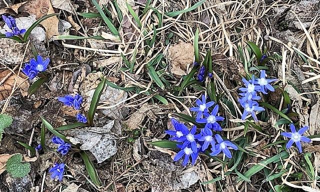 Honoring Mary Baker Eddy